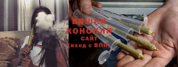 ешки Каменногорск