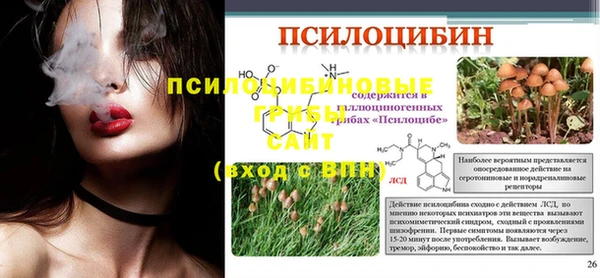 ешки Каменногорск