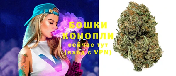 ешки Каменногорск