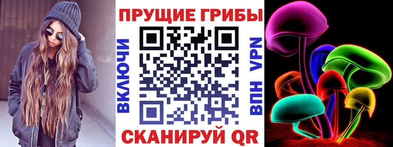 хочу kraken как войти Галлюциногенные грибы мухоморы Суровикино